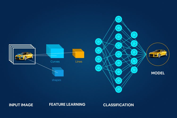 Image Classification